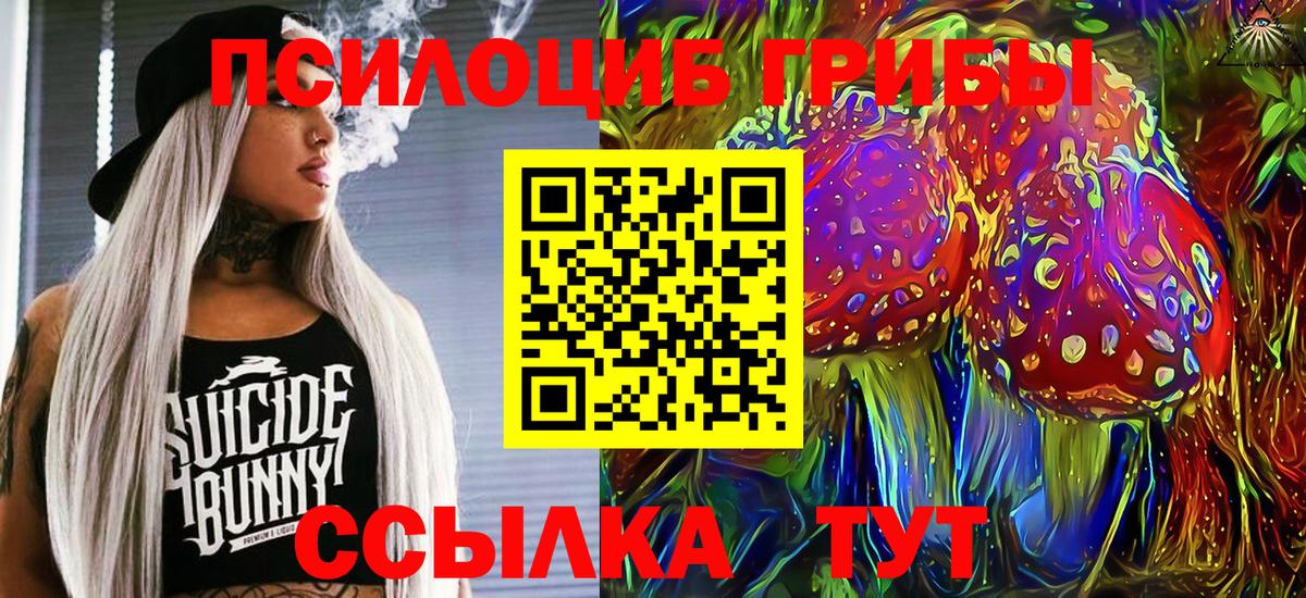 Воронеж  Псилоцибиновые грибы прущие грибы  Вход с VPN 