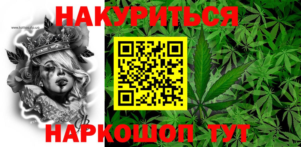 Каннабис OG Kush Воронеж